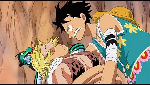 ワンピース 女ヶ島編 第408話 第421話 のシリーズ詳細 ビデオ ひかりｔｖ