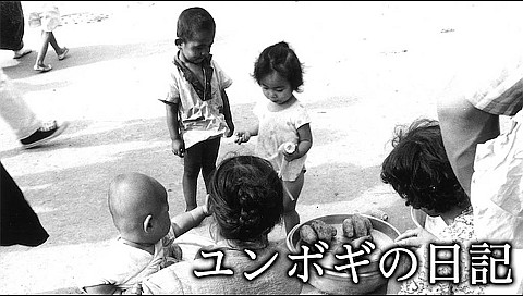 大島渚の検索結果 ビデオ ひかりｔｖ