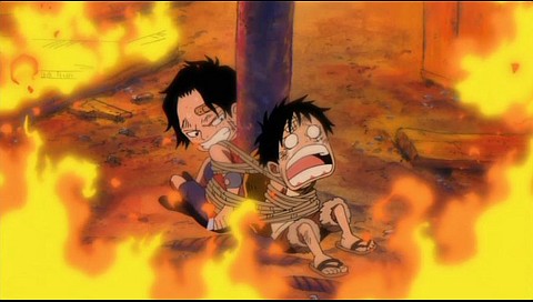 ワンピース 第501話の詳細 ビデオ ひかりｔｖ