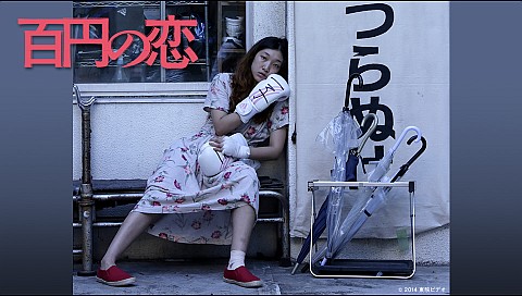 稲川実代子の検索結果 ビデオ ひかりｔｖ