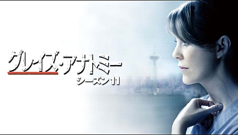 グレイズ アナトミー シーズン11 全25話のシリーズ詳細 ビデオ ひかりｔｖ