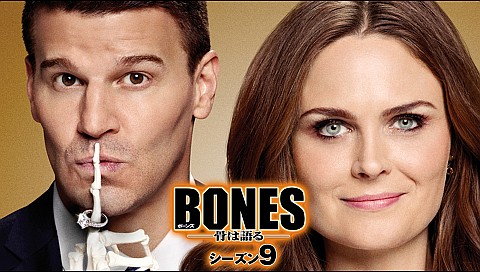 Bones 骨は語る シーズン９ 吹替版 全24話のシリーズ詳細 ビデオ ひかりｔｖ