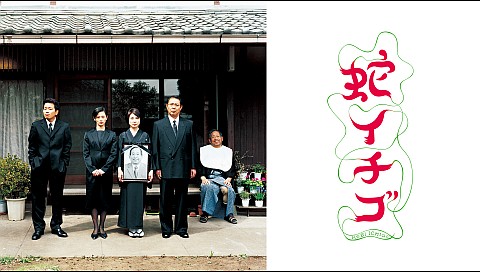 つみきみほの検索結果 ビデオ ひかりｔｖ