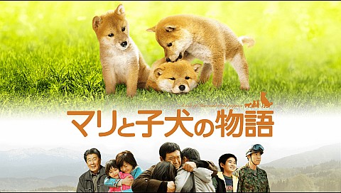 松本明子の検索結果 ビデオ ひかりｔｖ