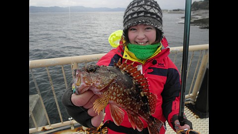 小雪の検索結果 ビデオ ひかりｔｖ