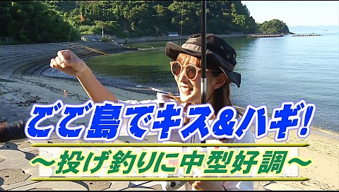 決定版 チョーさんの釣り情報のシリーズ詳細 ビデオ ひかりｔｖ