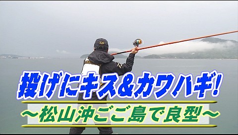 決定版 チョーさんの釣り情報のシリーズ詳細 ビデオ ひかりｔｖ