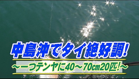 決定版 チョーさんの釣り情報のシリーズ詳細 ビデオ ひかりｔｖ