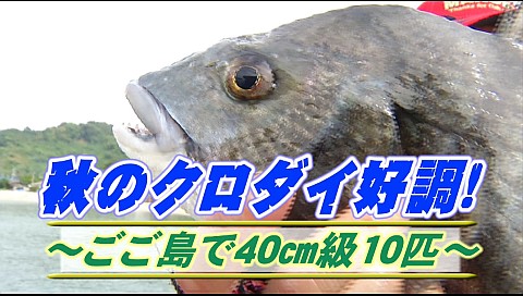 決定版 チョーさんの釣り情報のシリーズ詳細 ビデオ ひかりｔｖ