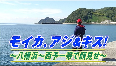 決定版 チョーさんの釣り情報のシリーズ詳細 ビデオ ひかりｔｖ