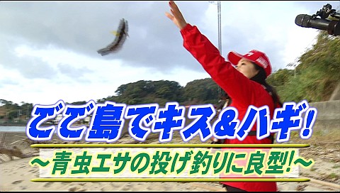 決定版 チョーさんの釣り情報のシリーズ詳細 ビデオ ひかりｔｖ