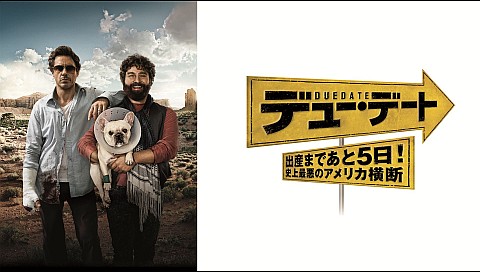 ミシェル フィリップスの検索結果 ビデオ ひかりｔｖ