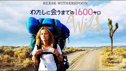 ケヴィン ランキンの検索結果 ビデオ ひかりｔｖ