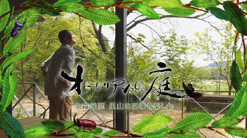 オーレリアンの庭 今森光彦 里山の四季を楽しむの詳細 | ビデオ