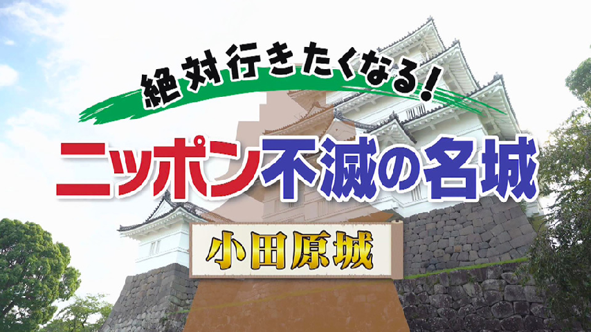 人気大割引 【新品未開封】ニッポン不滅の名城 姫路城 dvd 2点セット