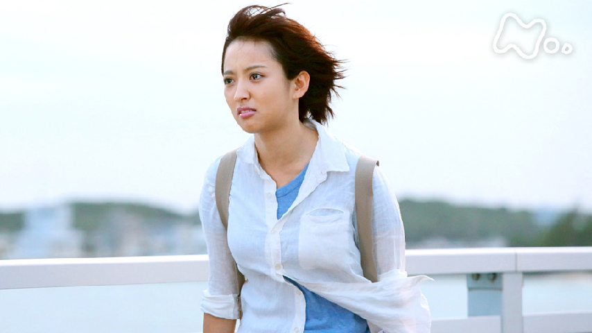連続テレビ小説 純と愛 （1） まほうのくにの詳細 | ビデオ | ひかりTV