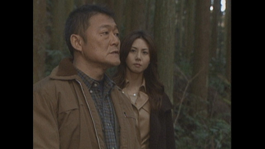 美女か野獣 9の詳細 ビデオ ひかりｔｖ
