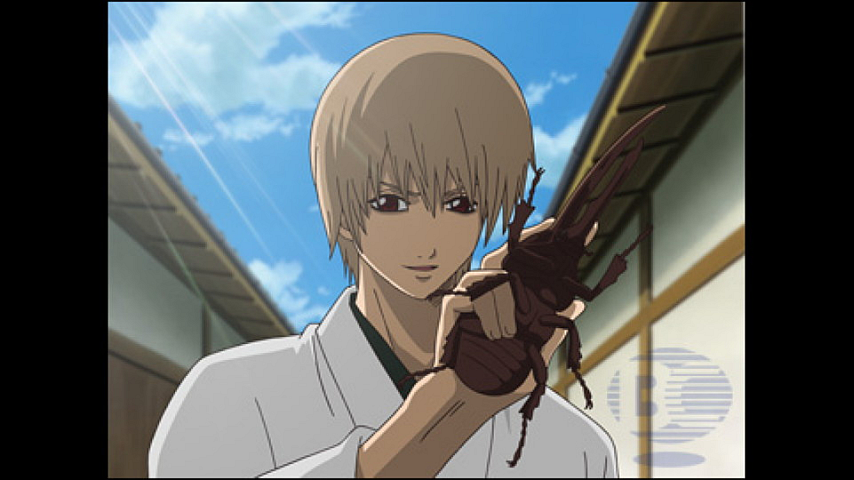 銀魂 第65話の詳細 | ビデオ | ひかりTV