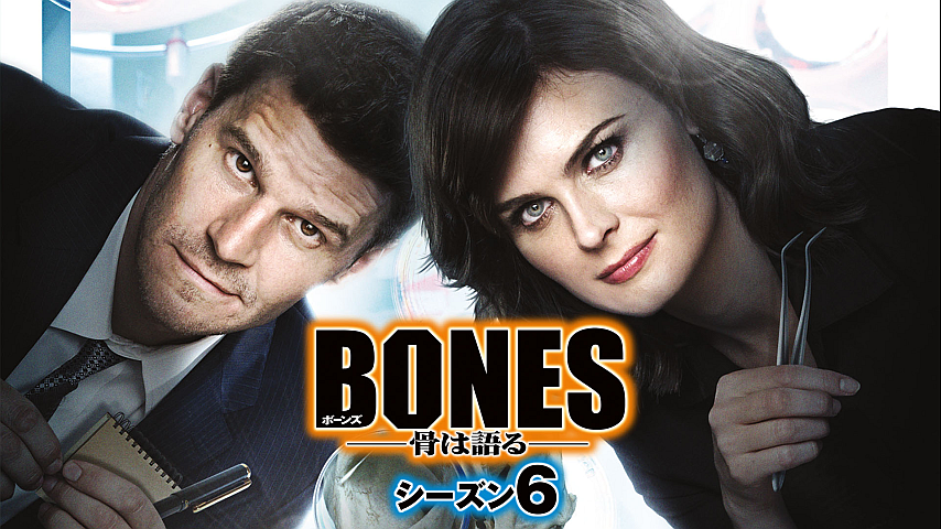 Bones 骨は語る シーズン６ 字幕版 第19話の詳細 ビデオ ひかりｔｖ