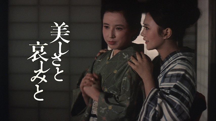 美しさと哀しみとの詳細 | ビデオ | ひかりTV