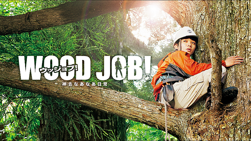 映画 Wood Job ウッジョブ 神去なあなあ日常 の詳細 ビデオ ひかりｔｖ