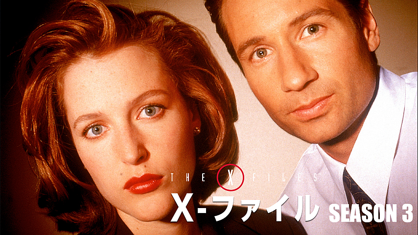 X ファイル シーズン3 字幕版 第14話の詳細 ビデオ ひかりｔｖ