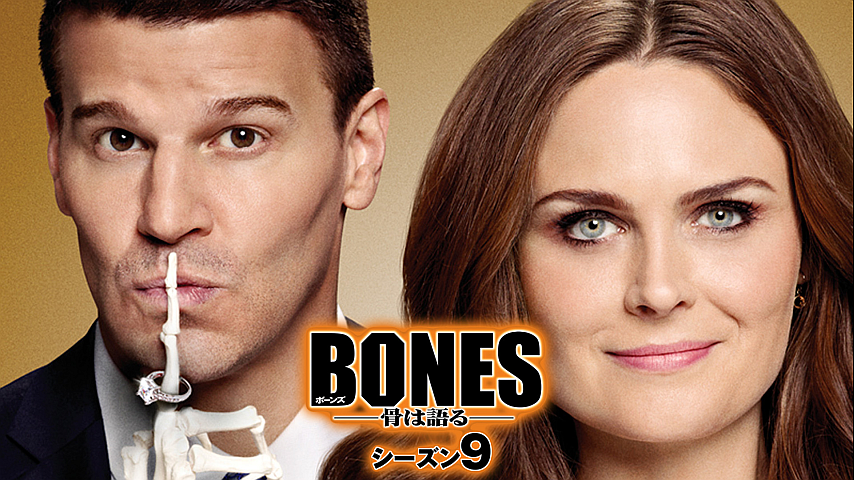 Bones 骨は語る シーズン９ 吹替版 第6話の詳細 ビデオ ひかりｔｖ