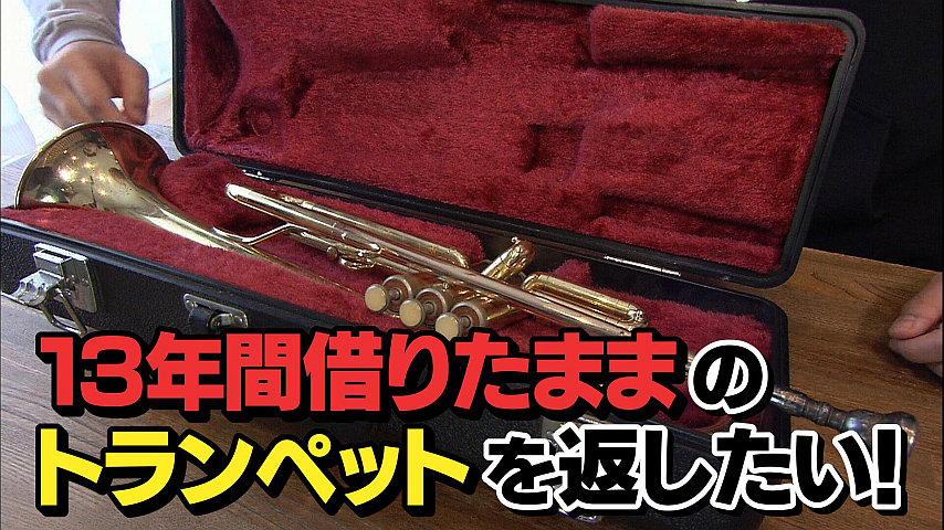 探偵 ナイトスクープ 年2月14日放送 の詳細 ビデオ ひかりｔｖ