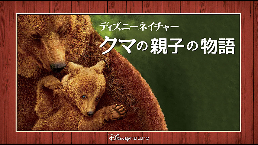ディズニーネイチャー／クマの親子の物語（吹替版）のパック詳細