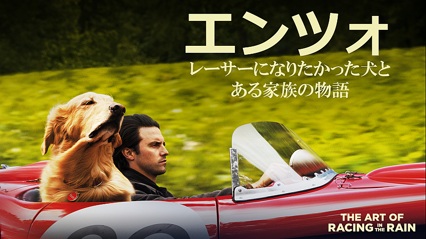 エンツォ レーサーになりたかった犬とある家族の物語 字幕版 のパック詳細 ビデオ ひかりｔｖ